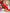 SILK TOUCH 3 STEP MANI RITUAL 30g – dodatna fotografija 18