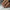 FLEXI RUBBER BASE CARAMEL SOUFFLE – dodatna fotografija 4