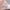 SKIN FILTER COLORED TOP COAT – dodatna fotografija 2