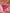 #307 UGH, CUTE! TRAJNI LAK – dodatna fotografija 20