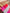 #308 SO FETCH TRAJNI LAK – dodatna fotografija 10
