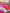 #308 SO FETCH TRAJNI LAK – dodatna fotografija 13