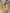 SATIN COLOR BASE FRECKLES – dodatna fotografija 3