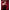 #299 SOME LIKE IT HOT TRAJNI LAK – dodatna fotografija 13