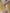 SATIN COLOR BASE JUST BARE – dodatna fotografija 3