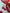 #302 SHE S IN LOVE TRAJNI LAK – dodatna fotografija 25