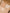 LUMIERE DUO MINI HIGHLIGHTER PALETTE 2* 1,5g – dodatna fotografija 10