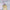 MILKY PINK TOP COAT – dodatna fotografija 2