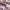 LIP GLOSS WILD FUCHSIA 9ML – dodatna fotografija 21