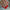 #302 SHE S IN LOVE TRAJNI LAK – dodatna fotografija 32