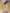 SATIN COLOR BASE NO MAKE – dodatna fotografija 3
