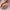 HARD ONE SILKY ROSE 15g – dodatna fotografija 3