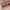 SKIN MUSE EYESHADOW PALETTE 12*1,5g – dodatna fotografija 25