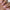 SATIN COLOR BASE HEART EYES – dodatna fotografija 6