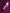 LIP GLOSS WILD FUCHSIA 9ML – dodatna fotografija 12