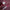 LIP GLOSS WILD FUCHSIA 9ML – dodatna fotografija 11