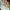 GIB ALOHA – dodatna fotografija 5