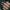 BG9 PROVOCATIVE TRAJNI – dodatna fotografija 7