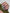 DUAL NAIL FORMS SALON MIX 288psc – dodatna fotografija 8