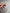 DUAL NAIL FORMS SALON MIX 288psc – dodatna fotografija 7