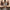 GIB COCONUT – dodatna fotografija 2