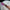 Ms.JELLY ROSE COVER 15g – dodatna fotografija 19