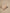 SKIN MUSE EYESHADOW PALETTE 12*1,5g – dodatna fotografija 20