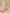 SKIN MUSE EYESHADOW PALETTE 12*1,5g – dodatna fotografija 16