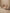 SILKY MATTE LIPSTICK 05 SOFT ALLURE 6g – dodatna fotografija 16