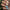 GIB COCONUT – dodatna fotografija 3
