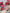 BLUSH N BLOOM CREAM & POWDER DUAL BLUSH 8g – dodatna fotografija 5