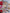 HIGH SHINE LIPSTICK 02 BABY TALK 6g – dodatna fotografija 10