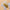 BUTTERFLY GOLD ŠABLONE 100kom BOX – dodatna fotografija 4
