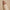 LIP LINER 02 SOFT CONTOUR 2g – dodatna fotografija 6