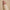LIP LINER 03 PURE LINE 2g – dodatna fotografija 7