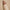 LIP LINER 05 NAKED EDGE 2g – dodatna fotografija 7