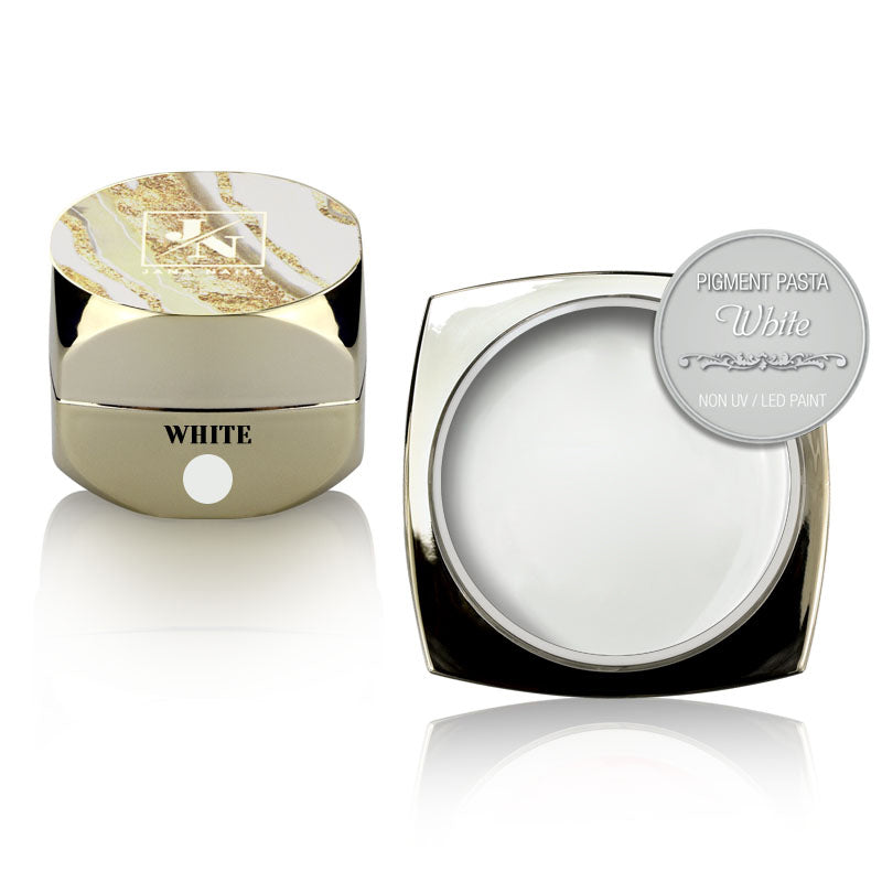 PAINT PIGMENT WHITE 2g