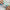 GIB BRAZILIAN BIKINI – dodatna fotografija 8